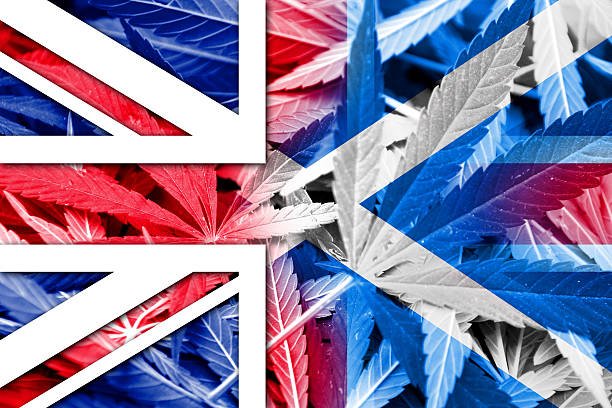 Cannabis Legal in Scotland