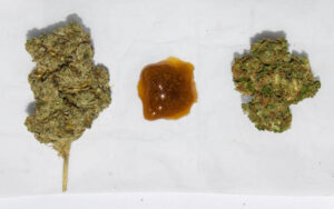 Cannabis Extract vs Cannabis Flower