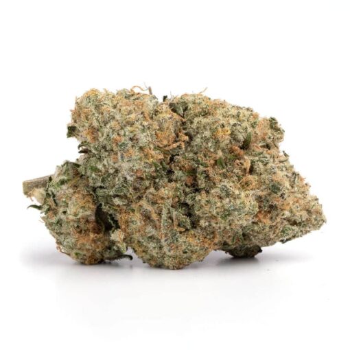 AAA Green House AK-47 - Image 3