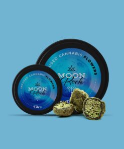 Moon rocks