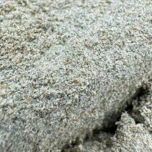 Thin Mint Cookies Kief AAAA+ - Image 2