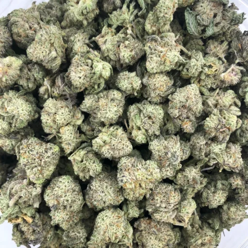 White Truffle Popcorn Strain - Image 3