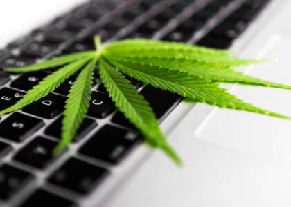 Buy Cannabis Online Edinburgh